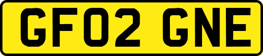 GF02GNE