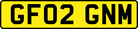 GF02GNM