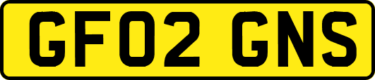 GF02GNS