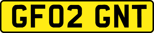 GF02GNT