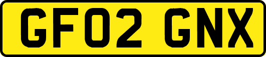 GF02GNX