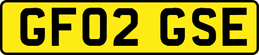 GF02GSE