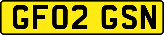 GF02GSN