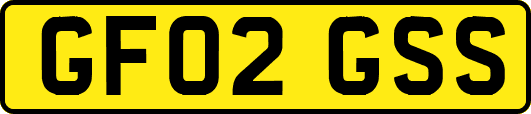 GF02GSS