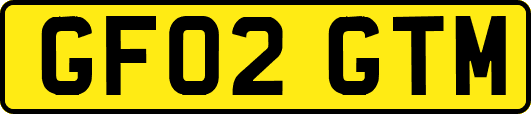 GF02GTM