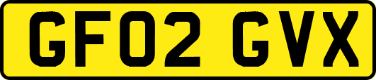 GF02GVX