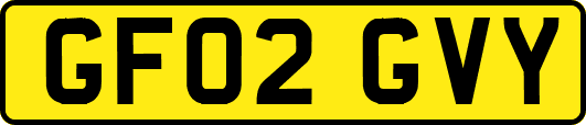 GF02GVY