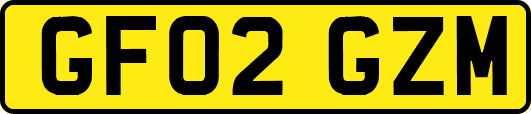 GF02GZM