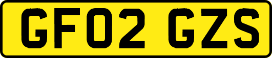 GF02GZS