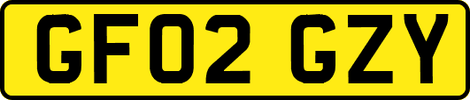 GF02GZY