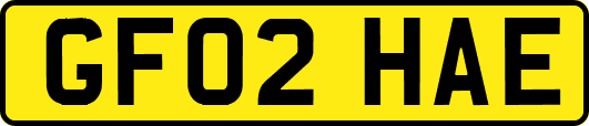 GF02HAE