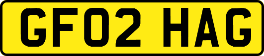 GF02HAG