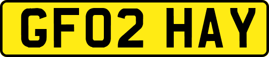 GF02HAY