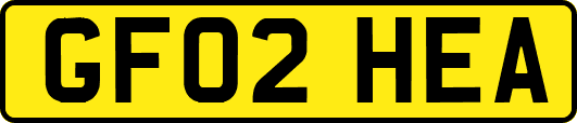 GF02HEA