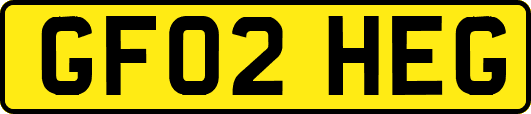 GF02HEG