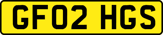 GF02HGS