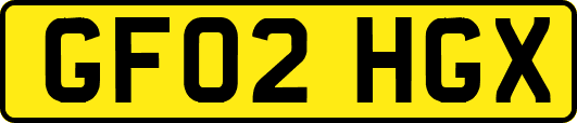 GF02HGX