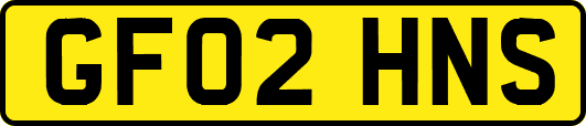 GF02HNS