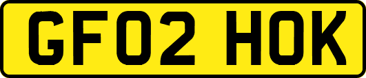 GF02HOK
