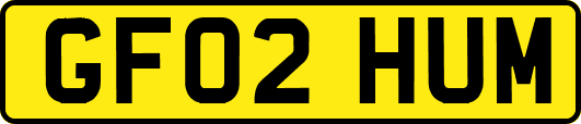 GF02HUM