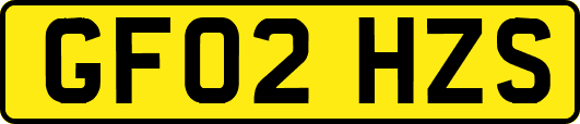 GF02HZS