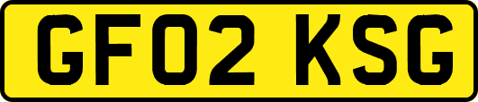 GF02KSG