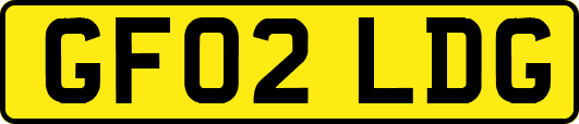 GF02LDG