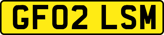 GF02LSM