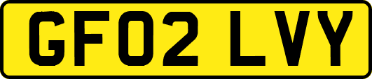 GF02LVY