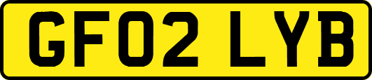 GF02LYB