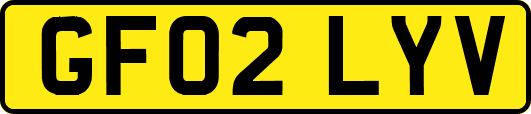 GF02LYV