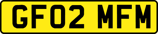 GF02MFM