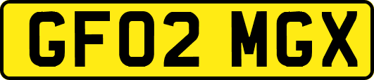 GF02MGX