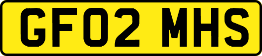 GF02MHS