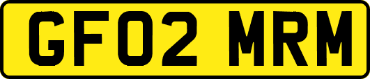 GF02MRM