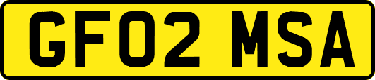 GF02MSA