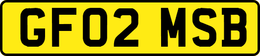 GF02MSB