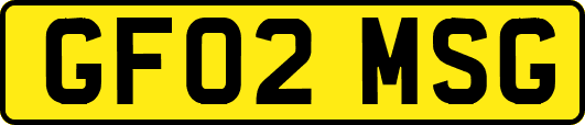 GF02MSG