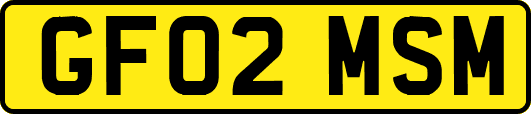 GF02MSM