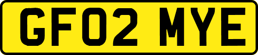 GF02MYE