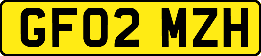 GF02MZH