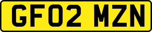 GF02MZN