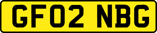 GF02NBG