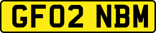 GF02NBM