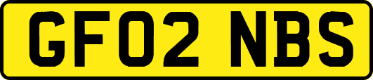 GF02NBS