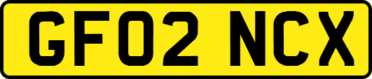 GF02NCX