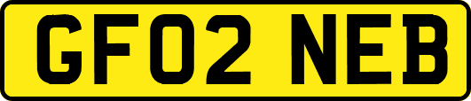 GF02NEB