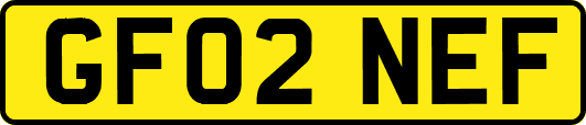 GF02NEF