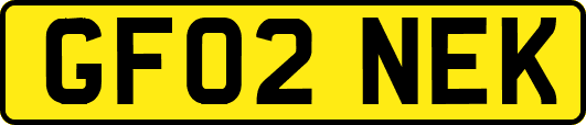GF02NEK