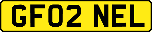 GF02NEL